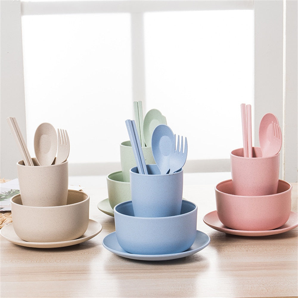 6Pcs Wheat Straw Dishes Set