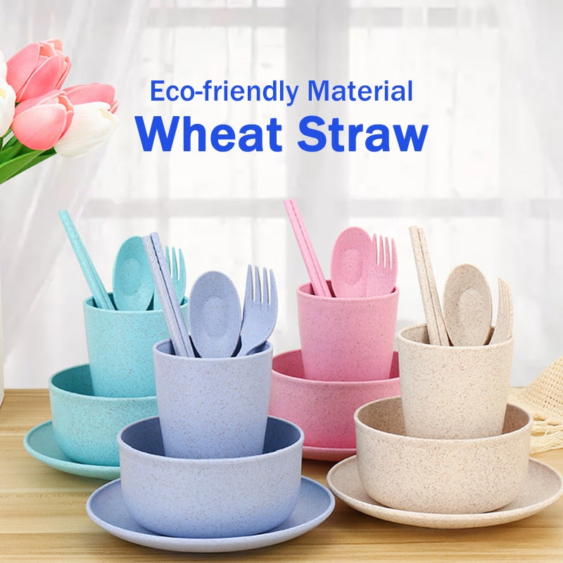 6Pcs Wheat Straw Dishes Set