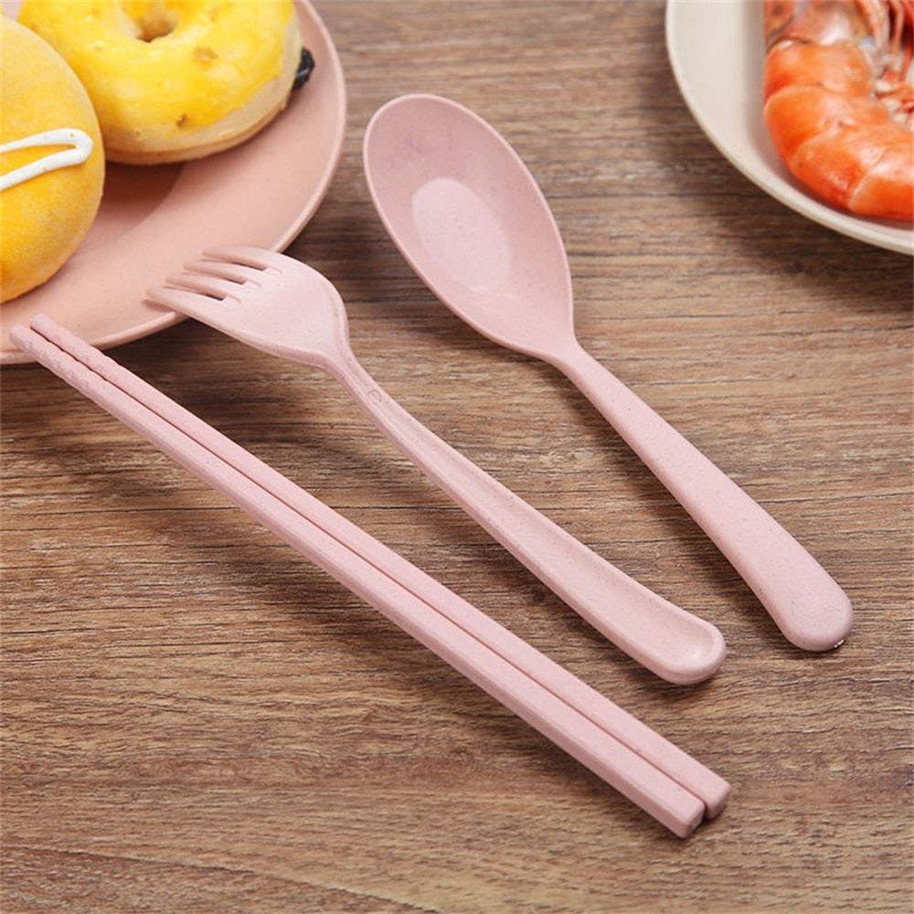 6Pcs Wheat Straw Dishes Set